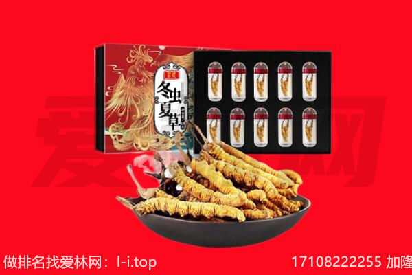 威海回收虫草.jpg